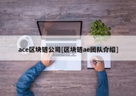 ace区块链公司[区块链ae团队介绍]